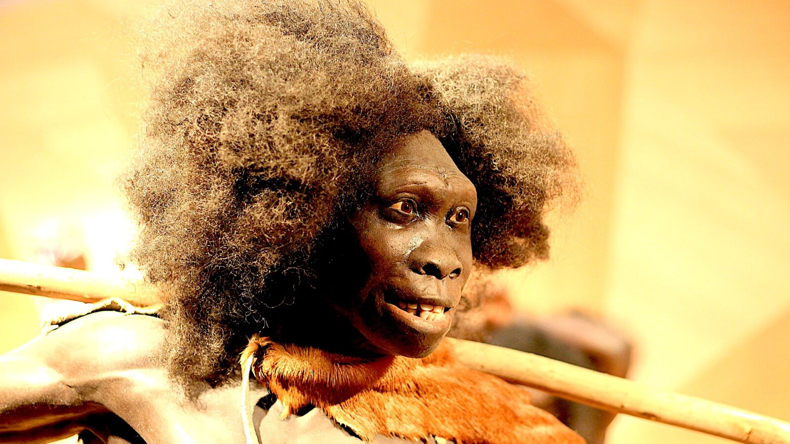 Ludzie i neandertalczycy