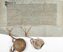 Uchwalona 2 października 1413 roku unia horodelska była kolejnym etapem w rozwoju bliskich relacji pomiędzy Królestwem Polskim a Wielkim Księstwem Litewskim. Zawarte w niej postanowienia były bardzo oryginalne. Pozornie nie pogłębiały wspólnoty politycznej obu państw, ale stwarzały warunki do ich zbliżenia na niespotykaną dotąd skalę w dłuższej perspektywie czasowej.